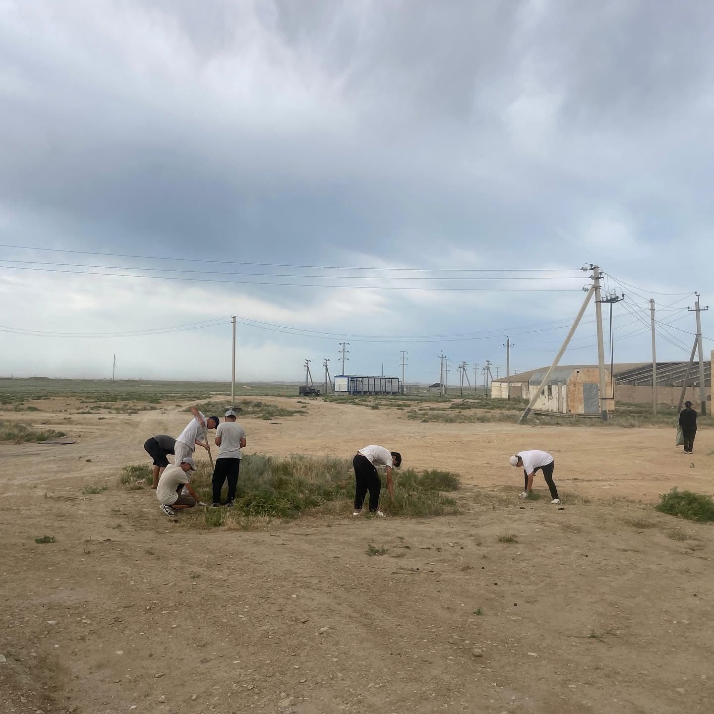 "Жасыл ел" еңбек жасағы өз жұмысын бастады.