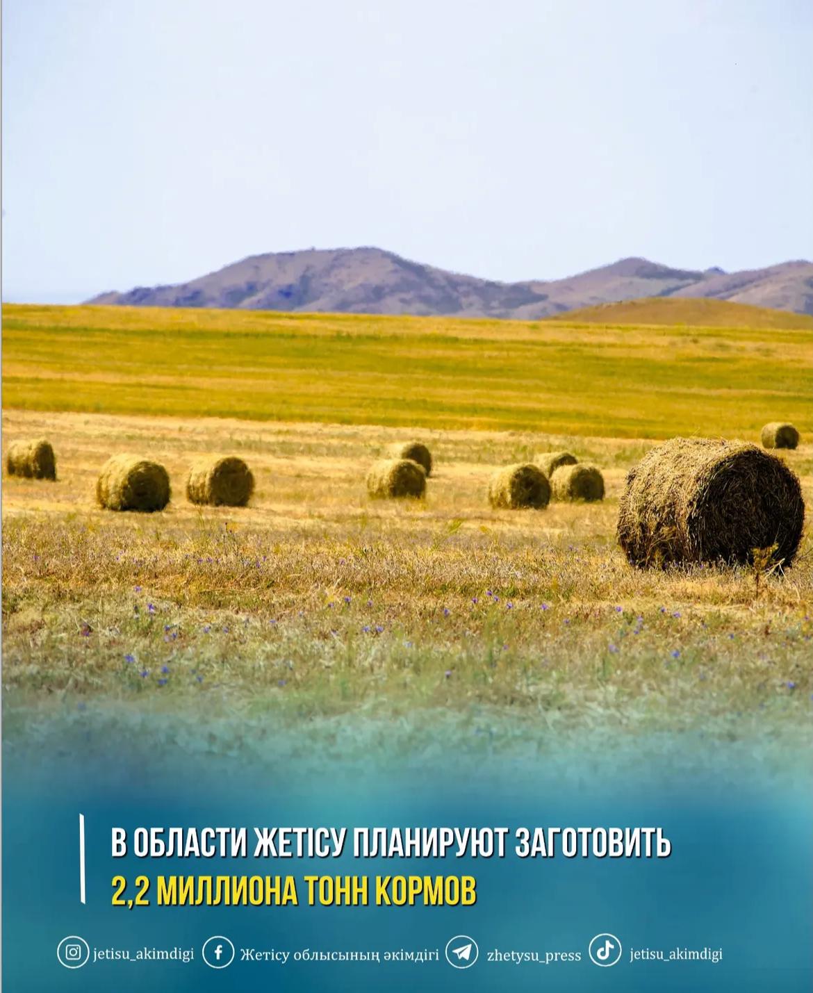 Биыл Жетісу облысында 2,2 млн тонна жем-шөп дайындау жоспарланып отыр, оның ішінде 1,2 млн. тонна шөп, 341 мың тонна сабан, 117 мың тонна пішендеме, 203 мың тонна сүрлем, 307 мың тонна жемдік астық дайындалады.