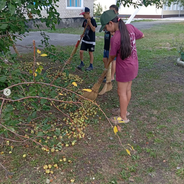 Жазғы мектептік еңбек практикасы аясында «Таза Қазақстан» экологиялық бағдарламасы шеңберінде мектеп оқушылары мектеп аумағын абаттандыру және тазалау жұмыстарын жүргізуде.