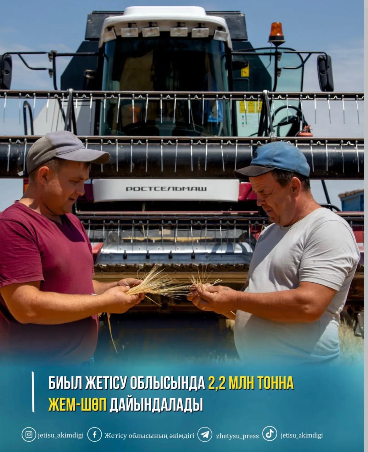 Биыл Жетісу облысында 2,2 млн тонна жем-шөп дайындау жоспарланып отыр