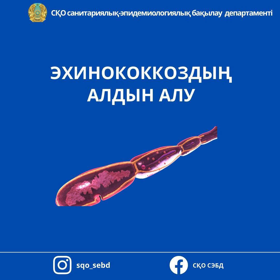 ⚡️Эхинококкоздың алдын алу