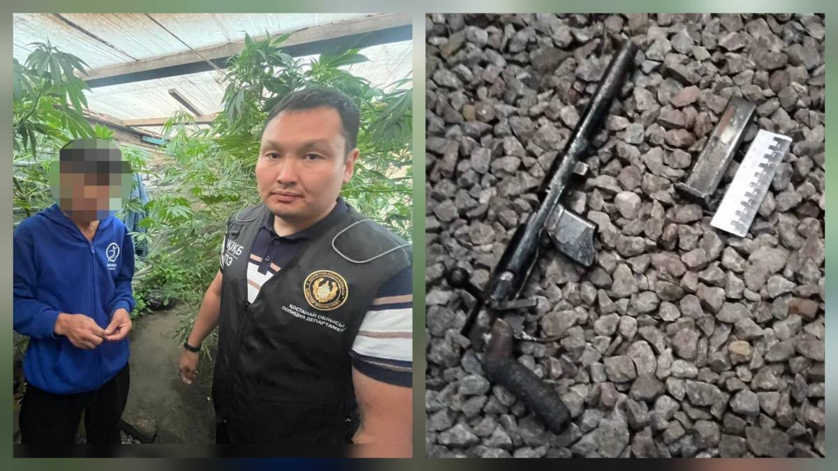 Сельчанин задержан за выращивание марихуаны в Костанайской области