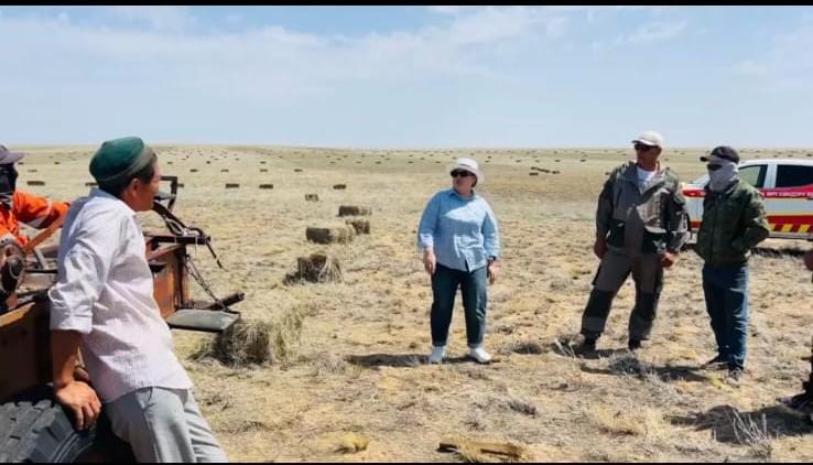 Ауылымызда жазғы науқандық жұмыстар қарқын алып, шаруа қожалықтары шөп шабу науқанын бастап кетті.