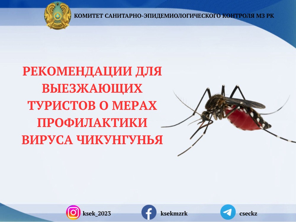 Рекомендации для выезжающих туристов о мерах профилактики вируса чикунгунья