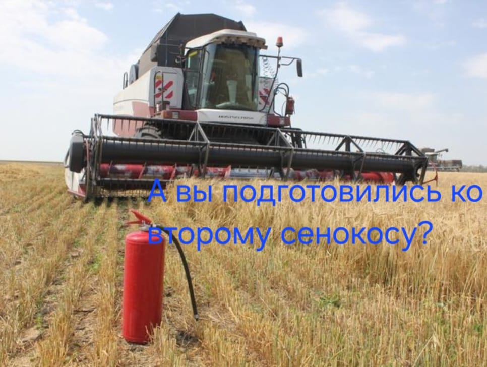 Шабындық-өрт қауіпті  түрі