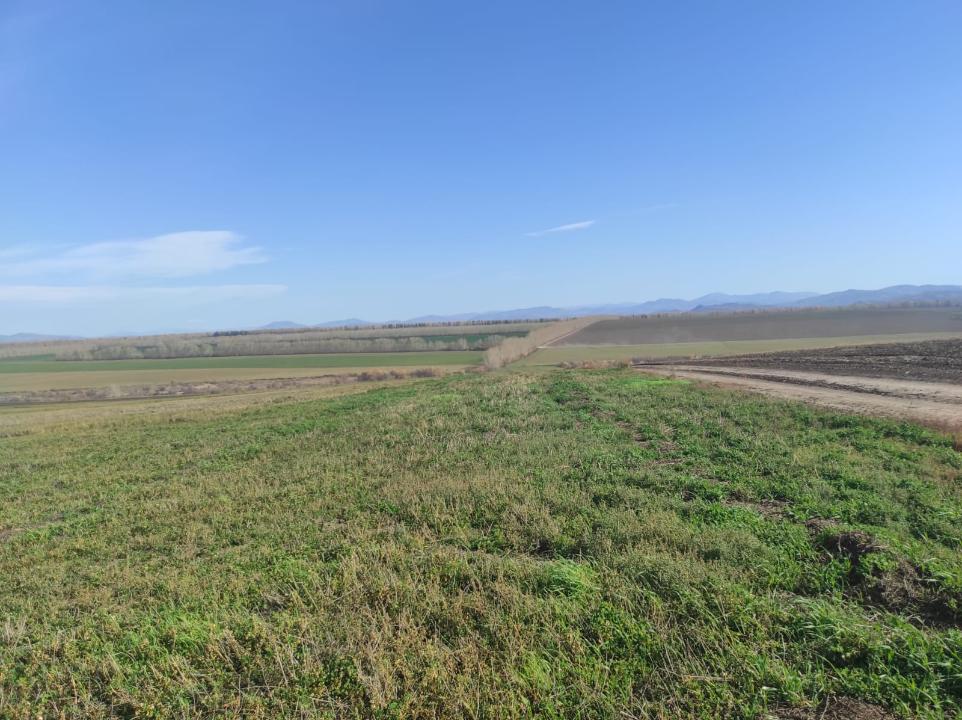 ШҚО әкімі егін алқаптарында зиянкестерге қарсы барлық мониторинг және тексерулерді жүргізуді тапсырды