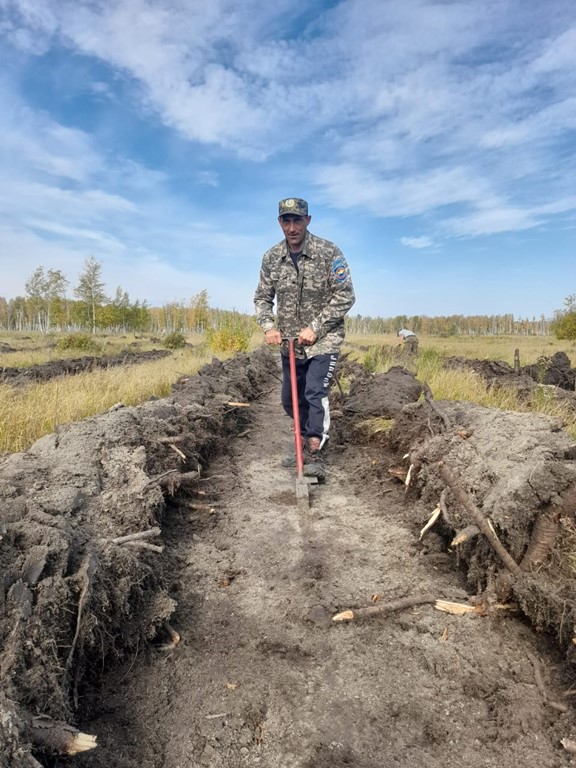 Воспроизводство и охрана лесов в КГУ «Лесное хозяйство Мамлютское»