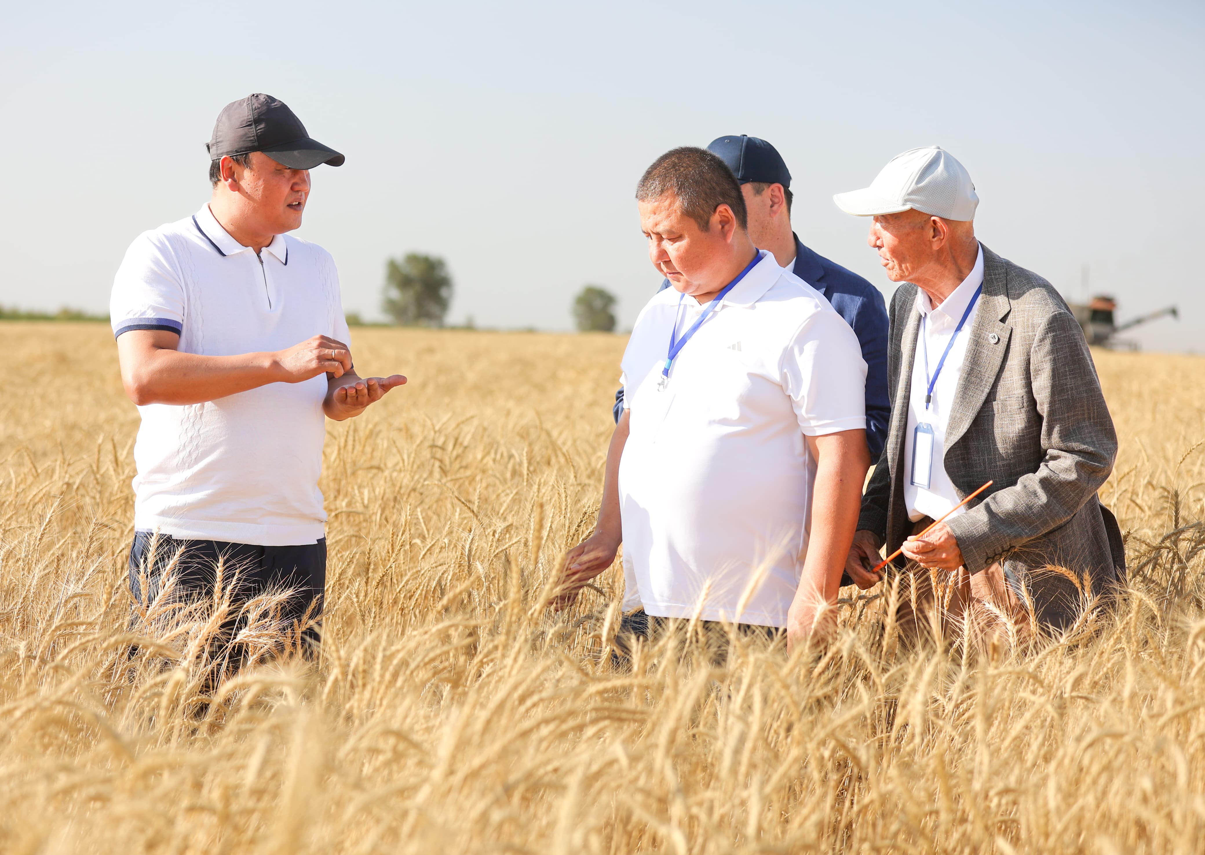 Агроөнеркәсіп, туристік инфрақұрылым және жаңартылатын энергия көздері: Ербол Қарашөкеевтің Меркі ауданына жұмыс сапары