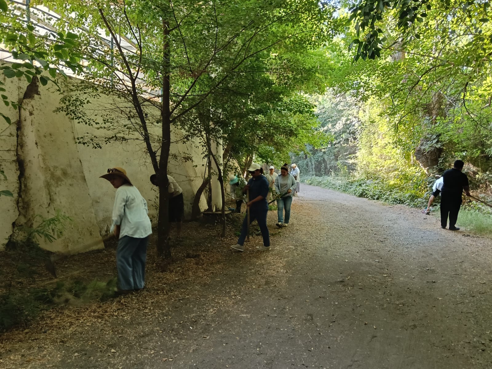 МАҚТААРАЛДА САЯБАҚТАР МЕН СКВЕРЛЕР ТАЗАЛАНДЫ