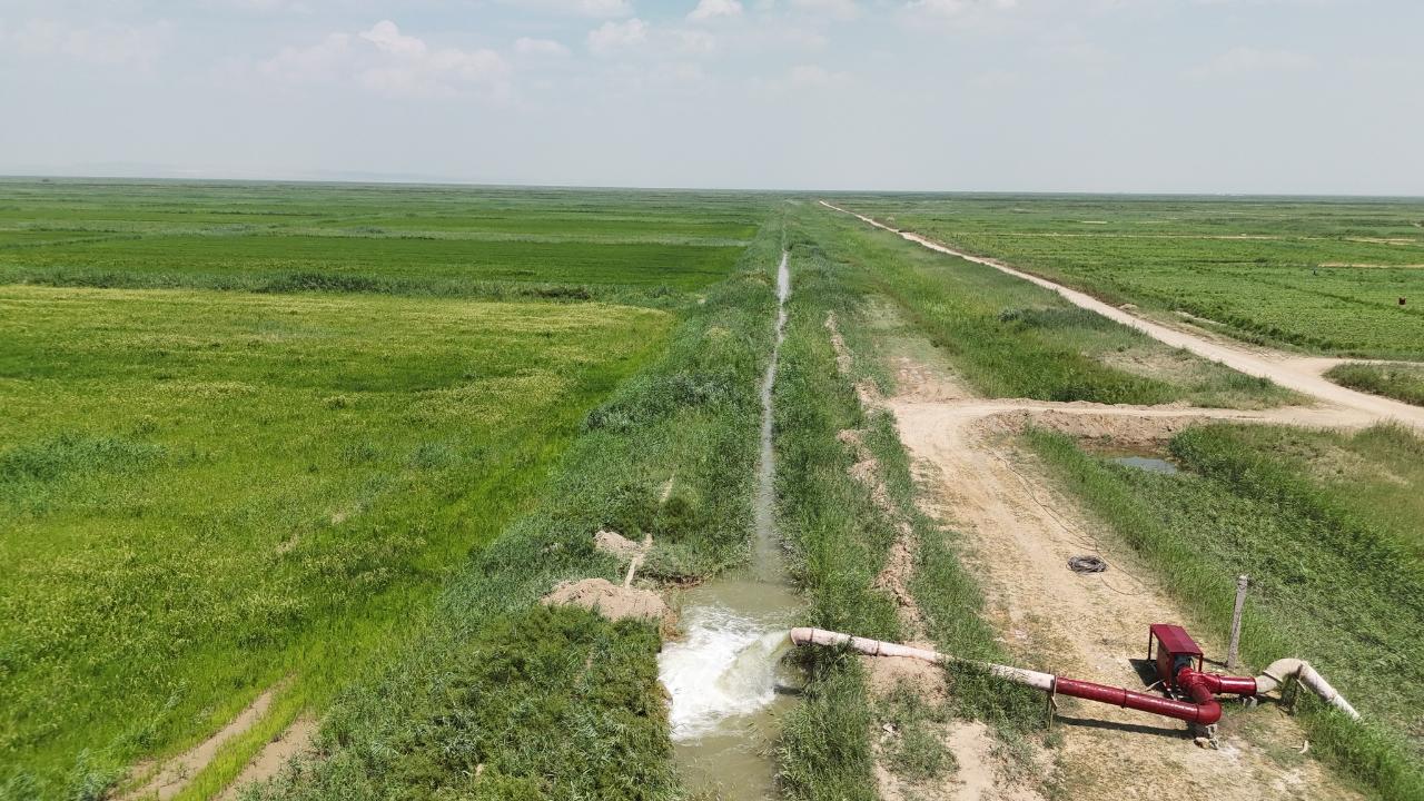 ҚР Су ресурстары және ирригация министрі Жаңақорған мен Шиелідегі егіс алқаптарын аралады