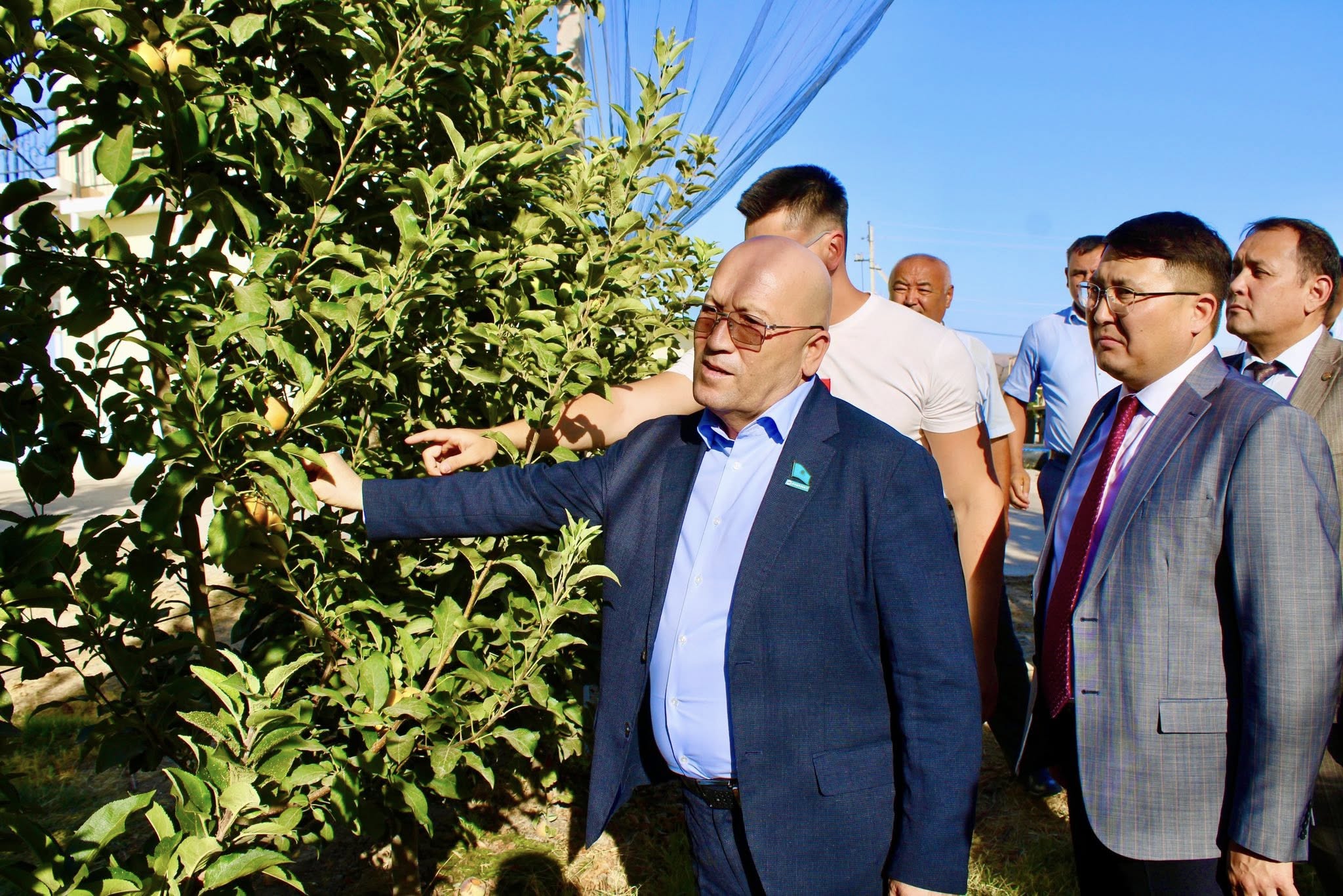 АУДАНЫНДА КӘСІПКЕРЛІК САЛАСЫ ҚАРҚЫНДЫ ДАМЫП КЕЛЕДІ