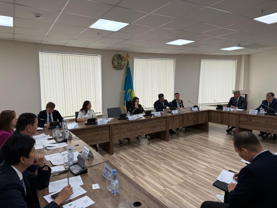 Парламентаризм институтында интернеттегі балалар қауіпсіздігі мәселелері талқыланды