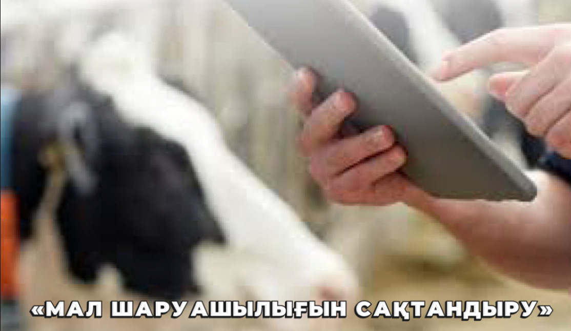 «Агроөнеркәсіп кешеніндегі ерікті сақтандыру жүйесі аясында жануарлар мен құстарды сақтандыру»