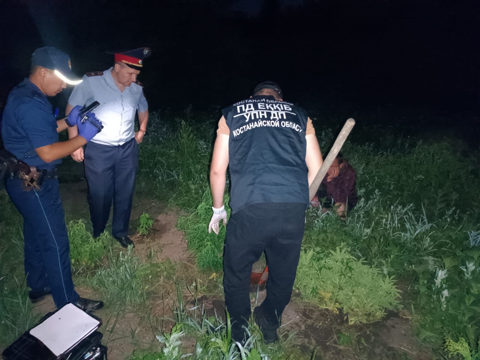 Заңсыз плантация: Б.Майлин ауданында каннабис өсімдіктерін өсірген ер адам ұсталды