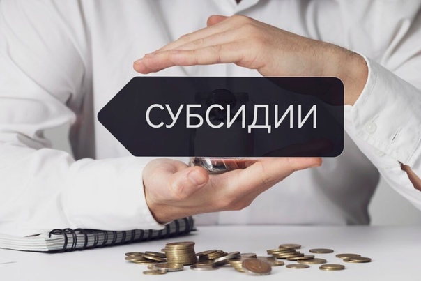 Жамбыл облысында прокурорлар агроөнеркәсіптік  кешені саласында жымқыруды анықтады