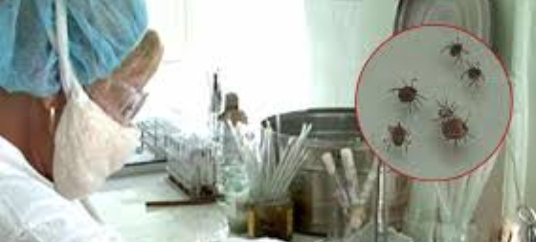 Конго-Қырым геморрагиялық қызбасының алдын алу