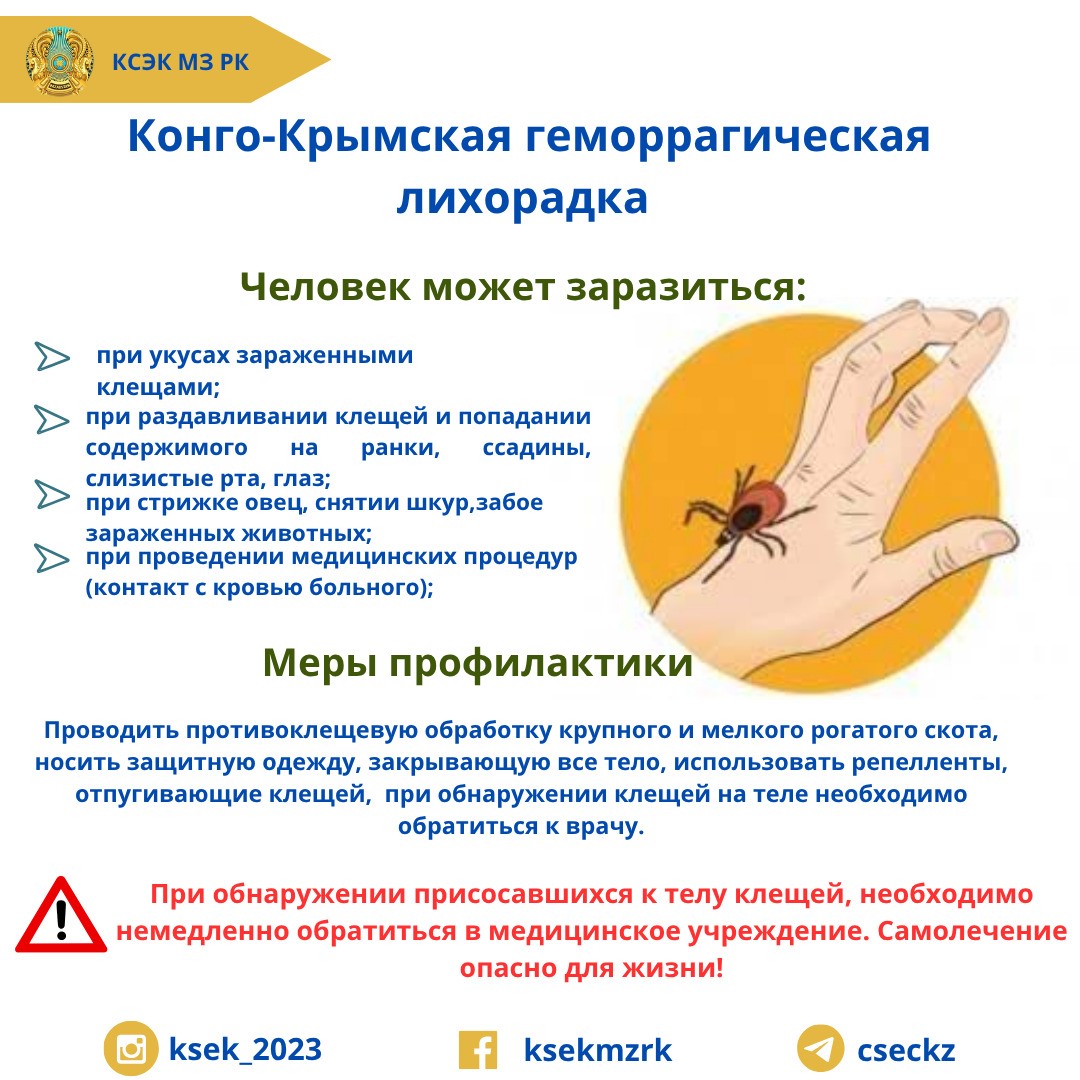 Профилактика Конго-Крымской геморрагической лихорадки