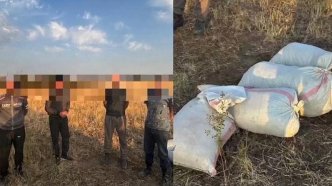 Транспортные полицейские задержали группу лиц в Жамбылской области за незаконный сбор дикорастущей марихуаны
