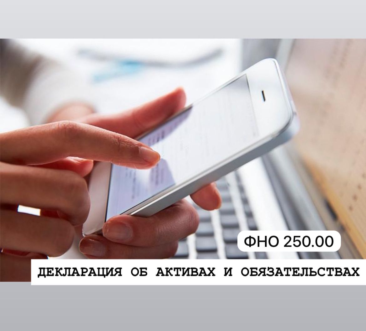 Декларация об активах и обязательствах формы 250.00