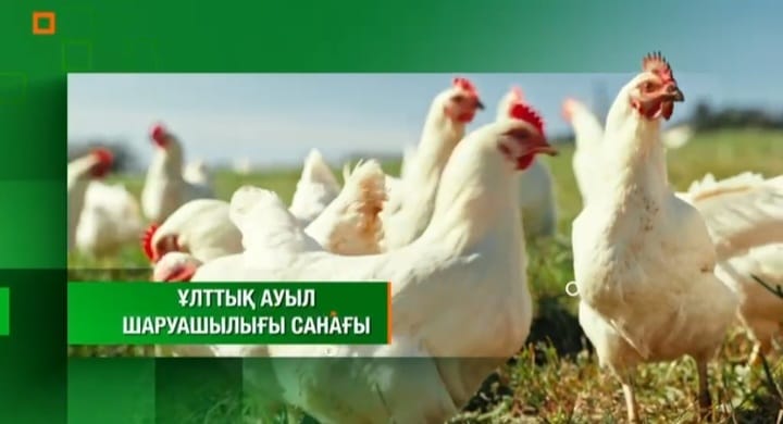 Ауыл шаруашылығы санағы басталды