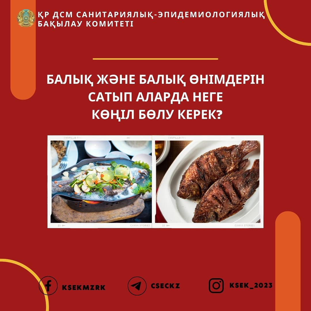 📌Балық және балық өнімдерін сатып аларда неге көңіл бөлу керек?