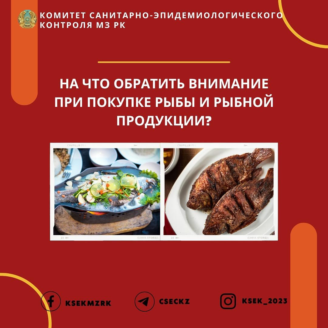 📌На что обратить внимание при покупке рыбы и рыбной продукции?