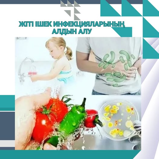 Жіті ішек инфекцияларының алдын алу