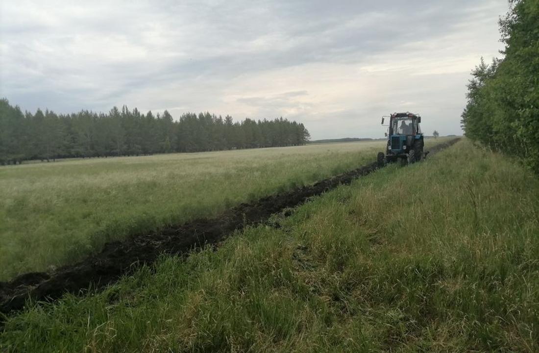 Противопожарные мероприятия в КГУ «Лесное хозяйство Орлиногорское»