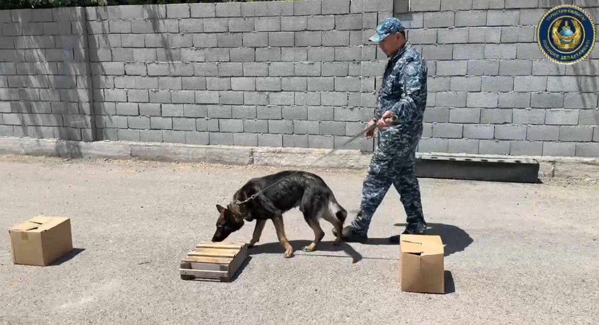 Полицейские провели экскурсию для молодежи в Центре кинологической службы