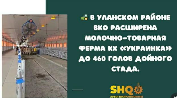 В Уланском районе ВКО молочно-товарная ферма КХ «Украинка»