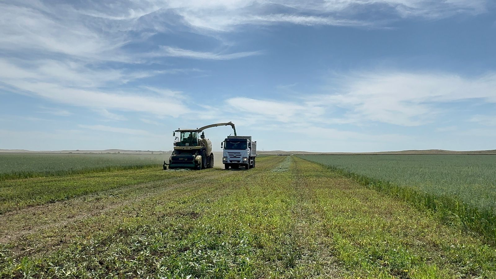 Жарқайың ауданының Тасөткел ауылында «Дала күні» мен «Мал шаруашылығы күні» біріктірілген семинар-кеңес өтті.