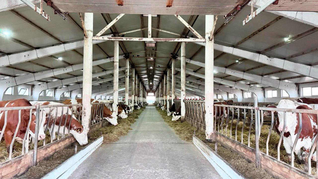 Қазақстанда шаруалар үшін жеңілдікпен кредит беру іске қосылады