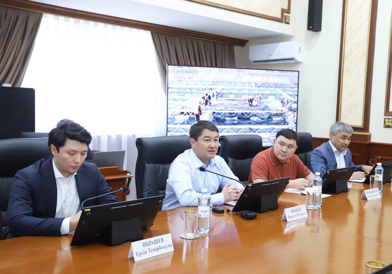 Нұрдәулет Қилыбай қытайлық инвесторлармен кездесті