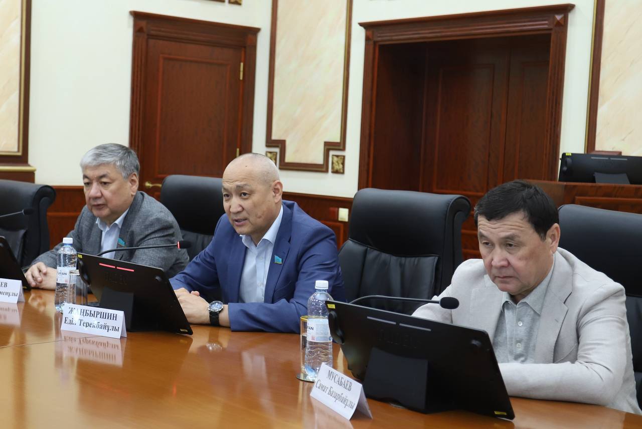 Нұрдәулет Қилыбай Сенат және Мәжіліс депутаттарымен кездесті