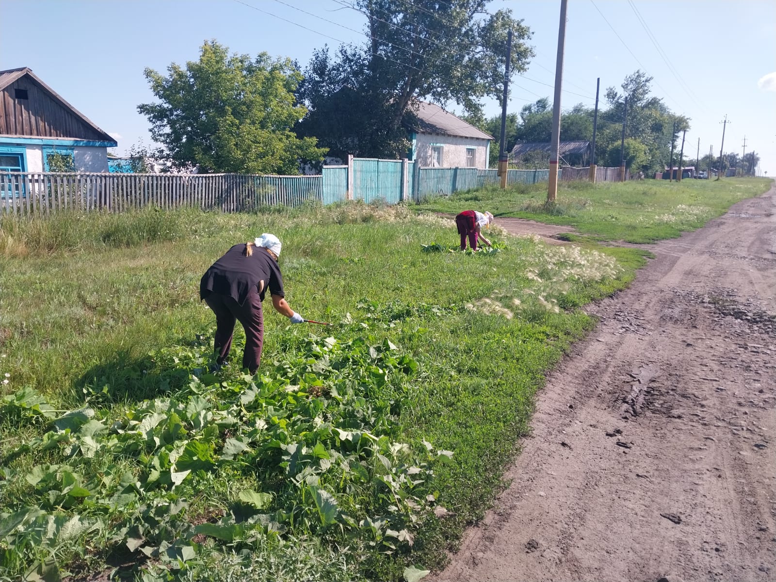 Покос растительности по улицам села