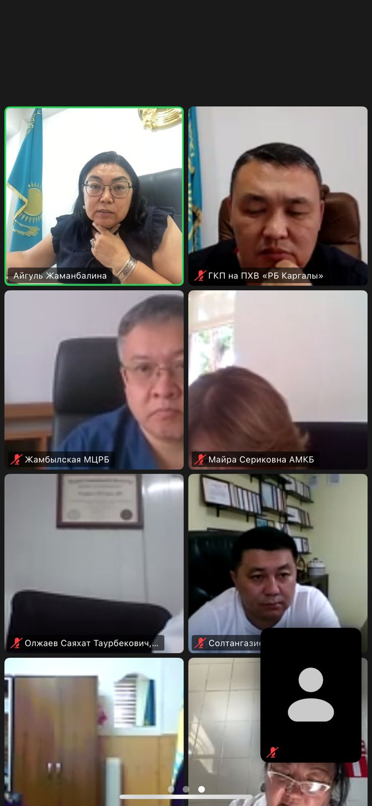 2025 жылғы 9 шілдеде дәрілік заттарды таңбалау және таңбаланған дәрілік заттарды айналымнан шығару тәртібі бойынша кеңес өткізілді