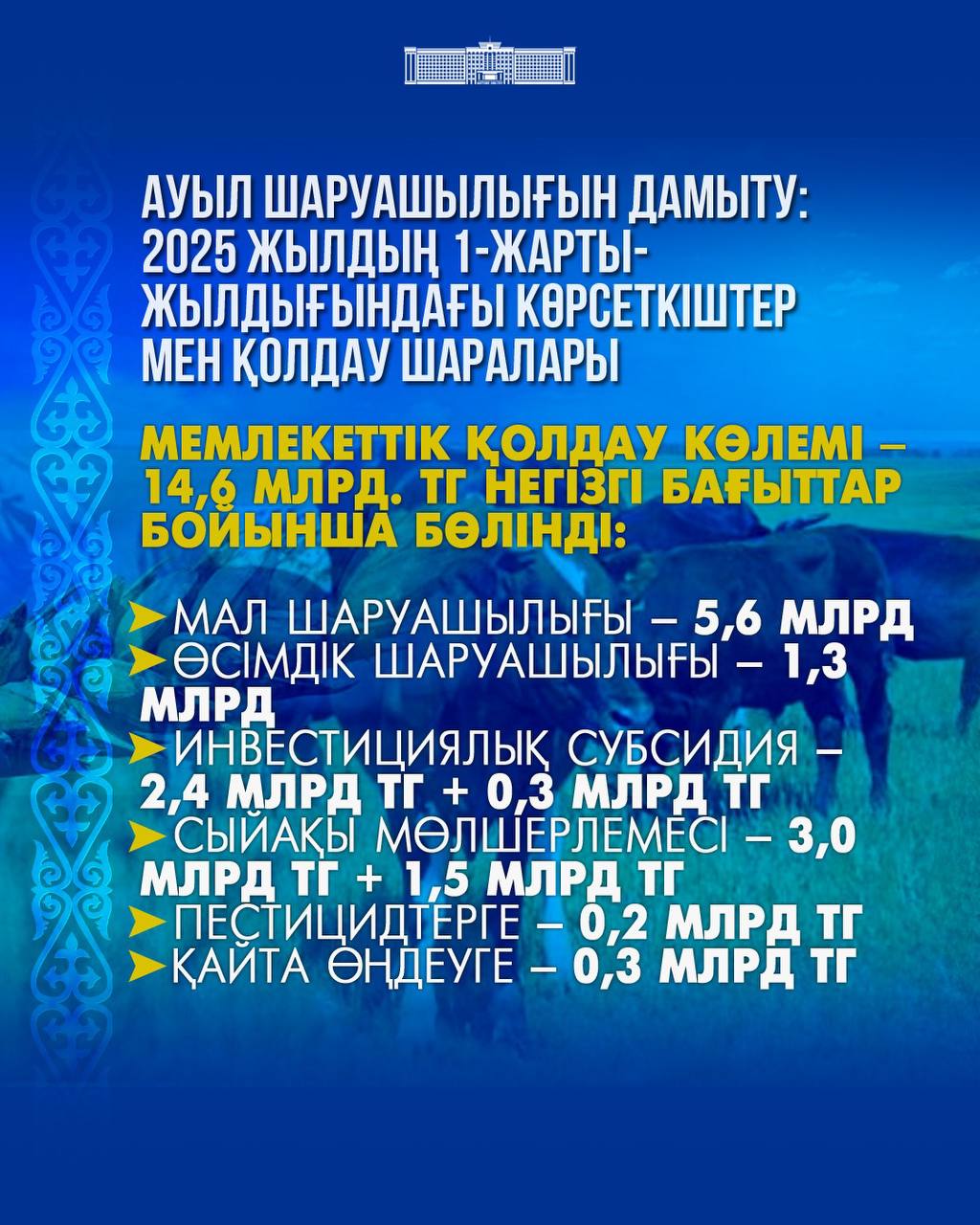 Түрік порно фильмдері