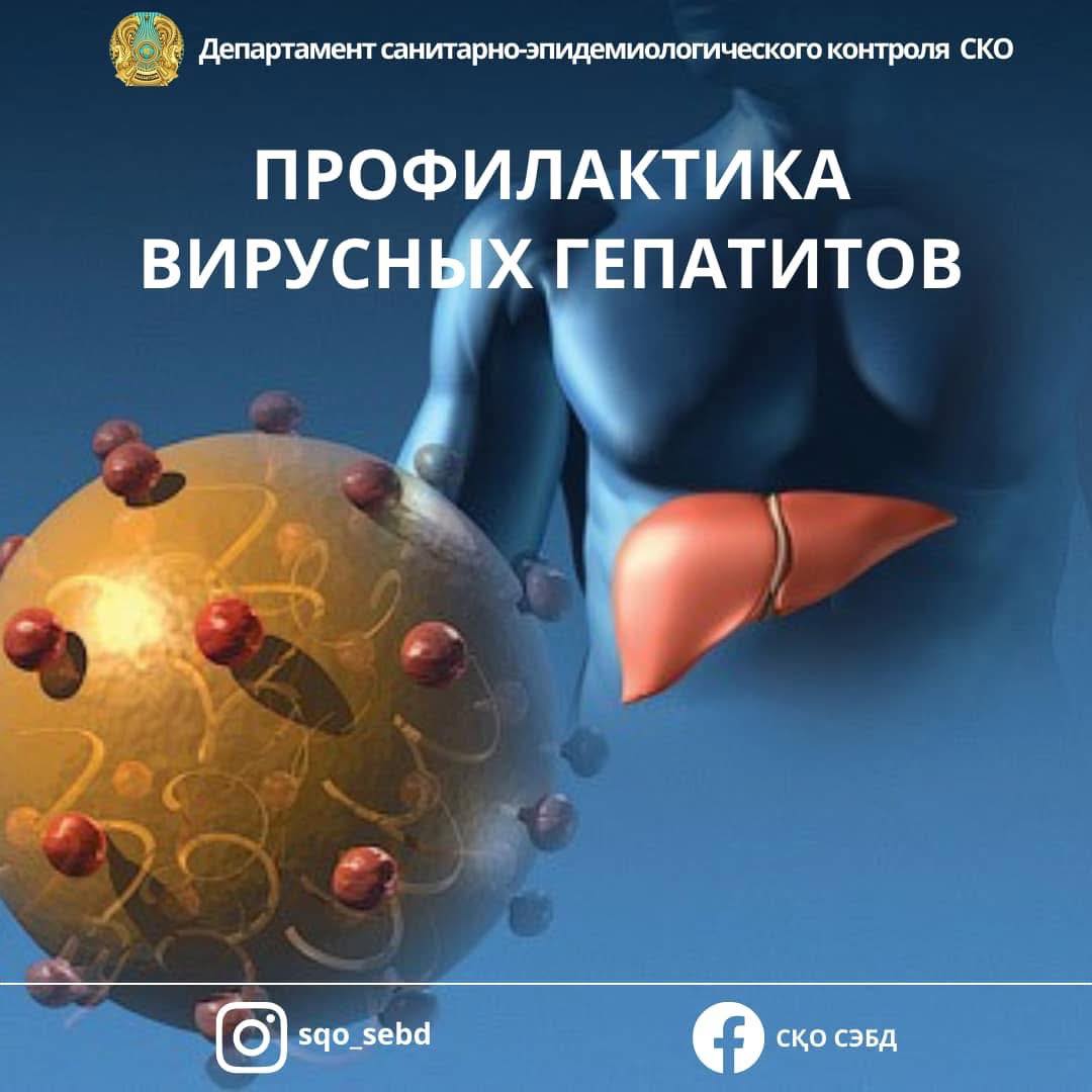 📌Профилактика вирусных гепатитов
