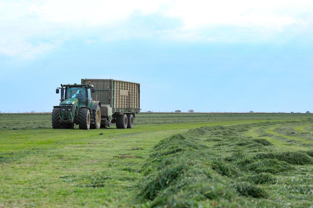 Өңір шаруалары орақ науқанына кірісті