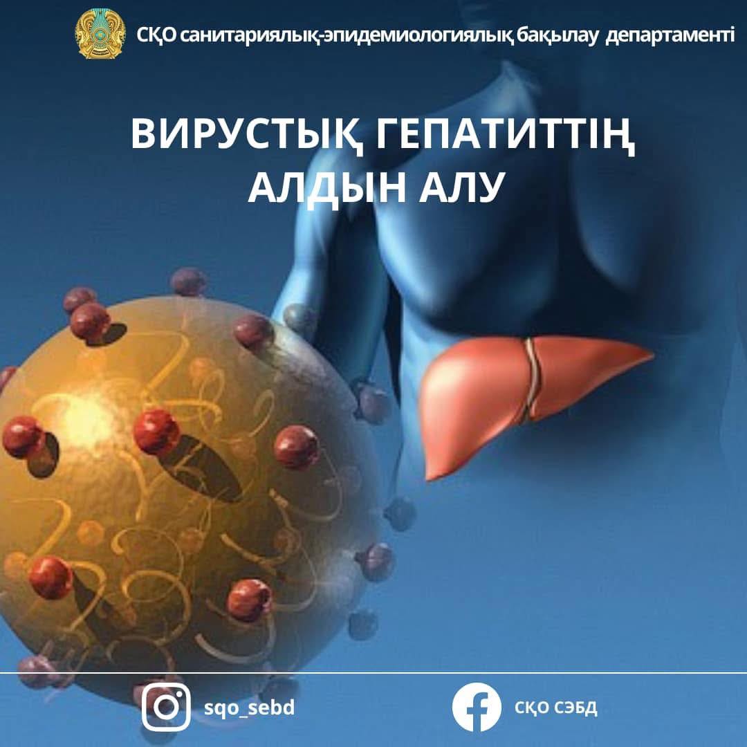 📌Вирустық гепатиттің алдын алу