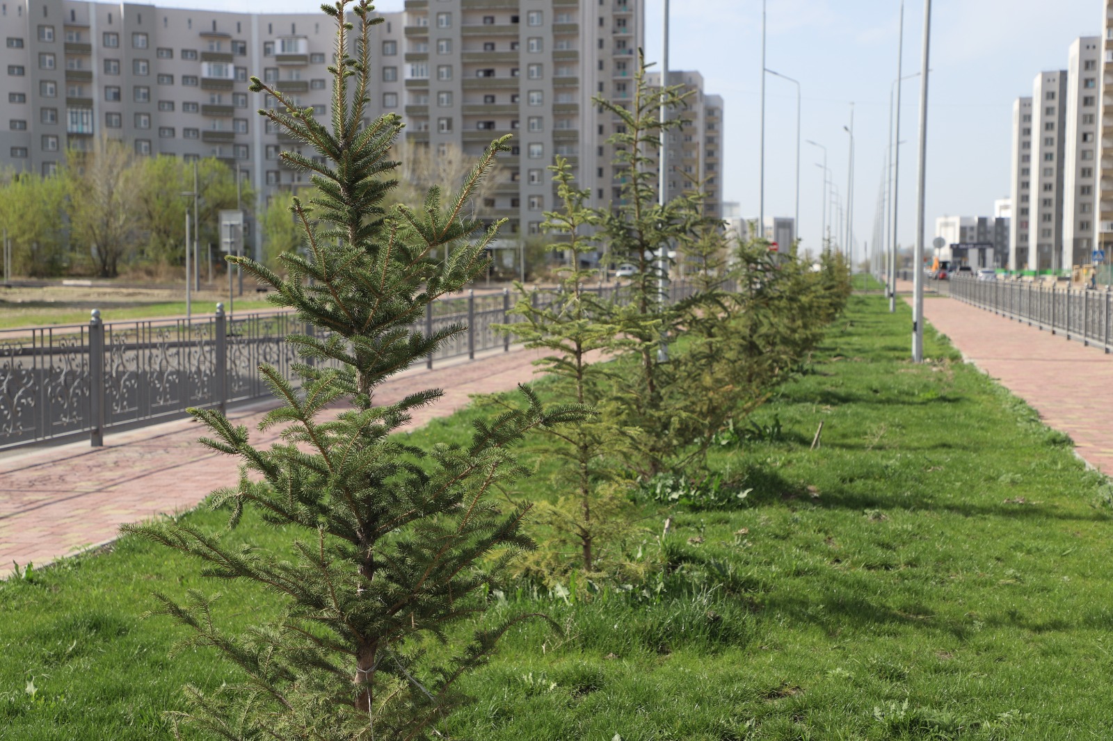 Жетісу облысында үш жылда саябақ, сквер, аллея түрінде 18 жасыл аймақ жасалды