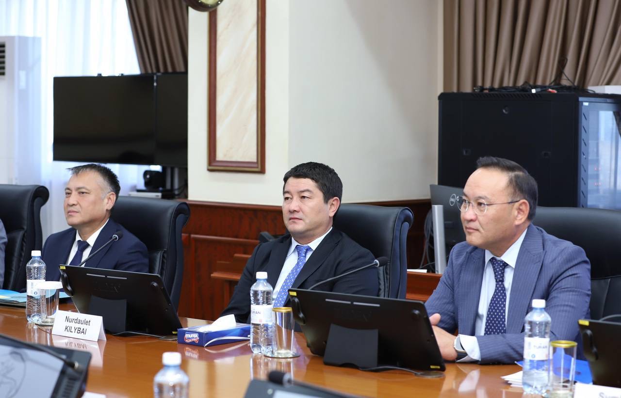 Нұрдәулет Қилыбай қытайлық инвесторларды қабылдады