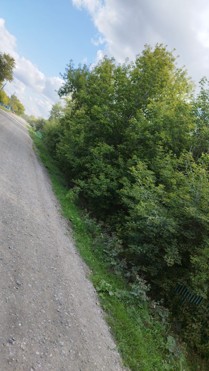 Фёдоров ауылдық округінде шөп шабу 🌿