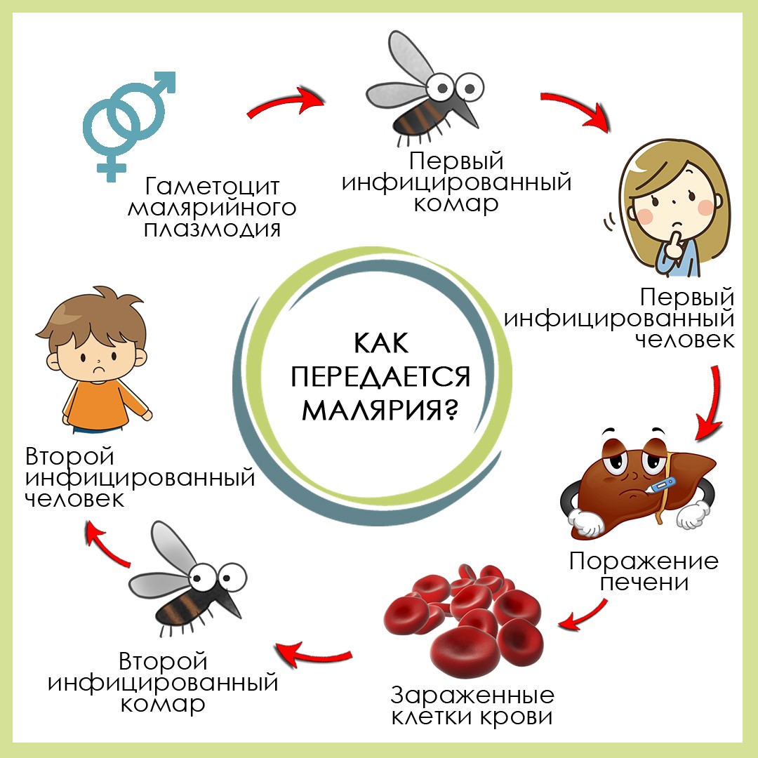 Безгек ауру оның алдын алу