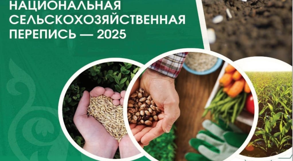 НАЦИОНАЛЬНАЯ СЕЛЬСКОХОЗЯЙСТВЕННАЯ ПЕРЕПИСЬ