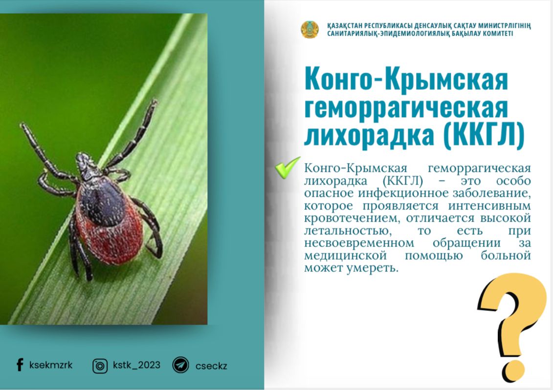 Конго-Крымская геморрагическая лихорадка