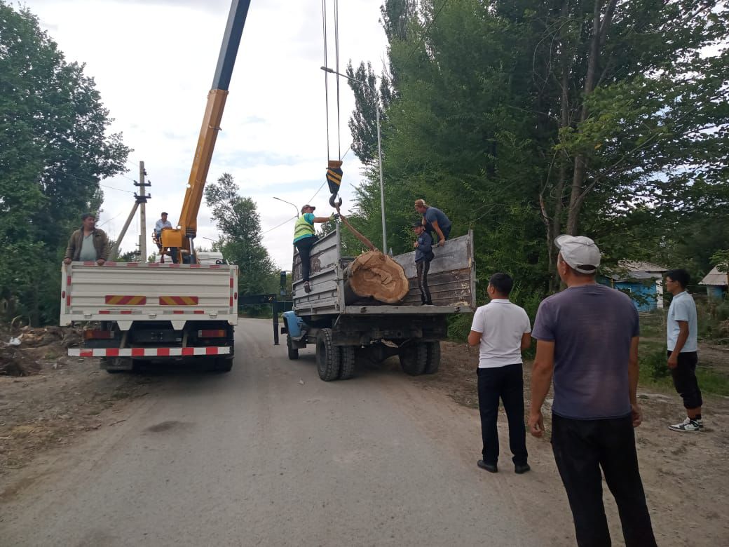 Қоғалы ауылында абаттандыру және тазалық жұмыстары жүргізілді.