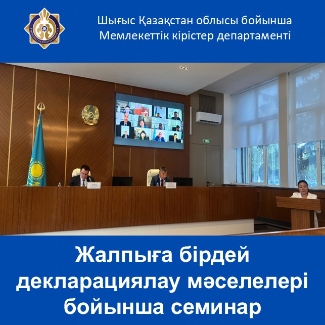 Жалпыға бірдей декларациялау мәселелері бойынша семинар