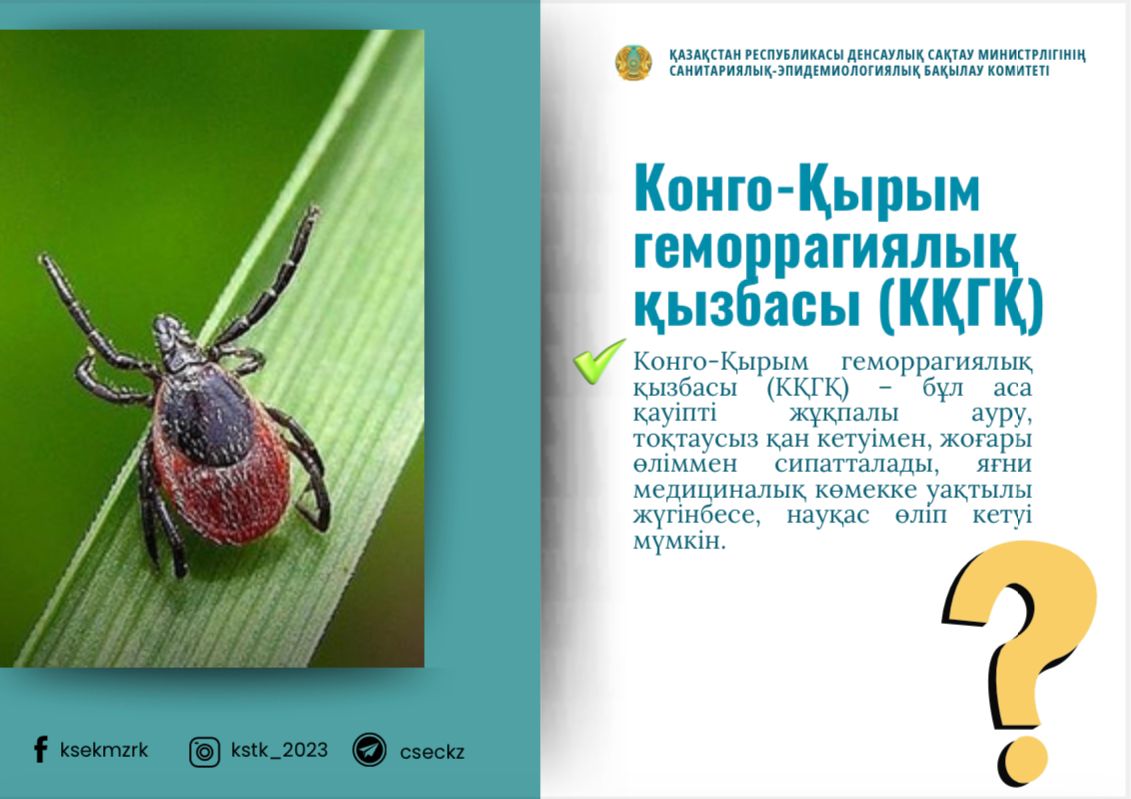 Конго-Қырым геморрагиялық қызбасы