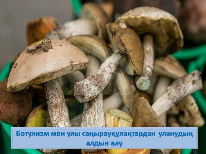 Ботулизм мен улы саңырауқұлақтардан уланудың алдын алу